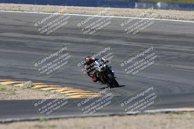 media/Apr-14-2024-SoCal Trackdays (Sun) [[70f97d3d4f]]/5-Bowl Exit (1020am)/